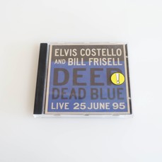 Elvis Costello And Bill Frisell - Deep Dead Blue (Live 25 June 95)